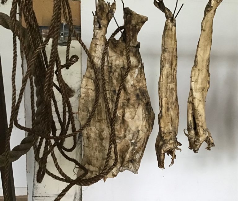 Expositie Adem van het Noorden — museum-expo in Delfzijl