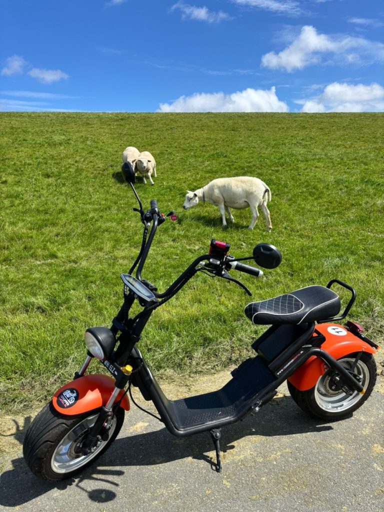 Verken Eemsdelta met de e-chopper — natuur in Delfzijl