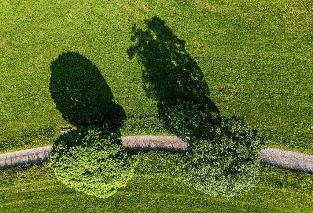 Podwalk – Verhalen van Appingedam in Delfzijl